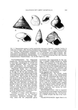 PLATYCERATACEA: the Platyceratid Limpets (Fig. 17B) Have Long Been