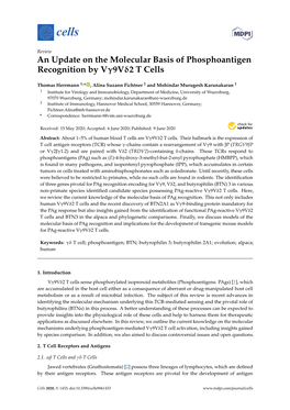 An Update on the Molecular Basis of Phosphoantigen Recognition by Vγ9vδ2 T Cells