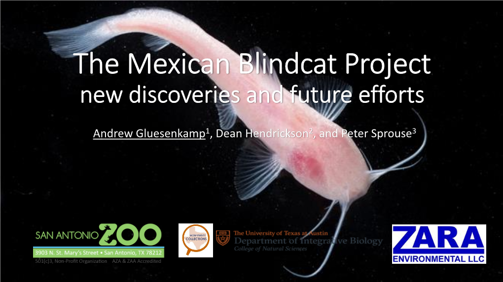 The Mexican Blindcat Project New Discoveries and Future Efforts