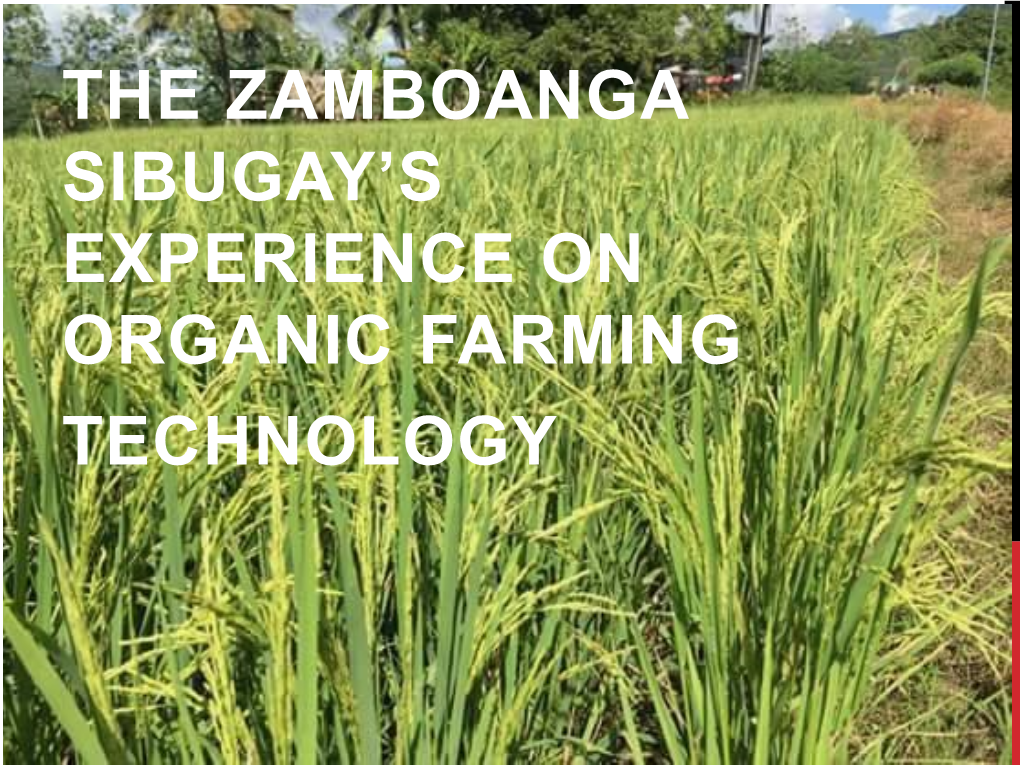 The Zamboanga Sibugay's Experience on Organic Farming