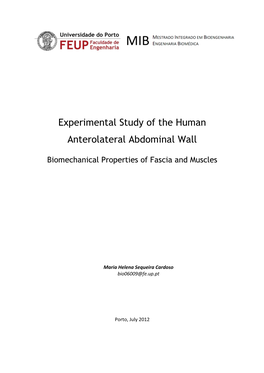 Experimental Study of the Human Anterolateral Abdominal Wall