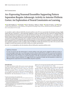 Arc-Expressing Neuronal Ensembles