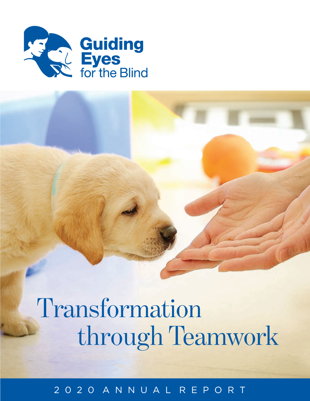 View Our Annual Report