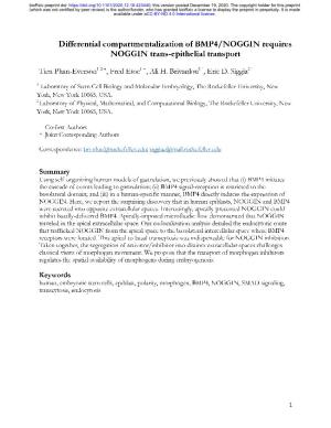Differential Compartmentalization of BMP4/NOGGIN Requires NOGGIN Trans-Epithelial Transport