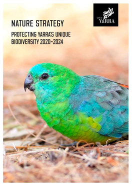 Nature Strategy: Protecting Yarra's Unique Biodiversity 2020-24