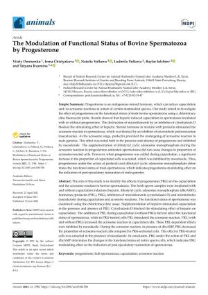 The Modulation of Functional Status of Bovine Spermatozoa by Progesterone