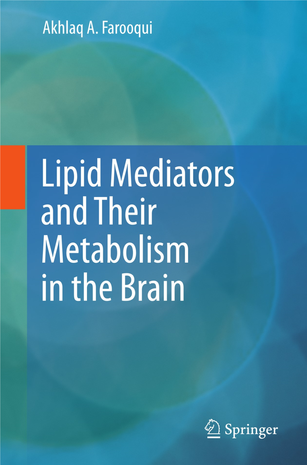 Lipid Mediators and Their Metabolism in the Brain