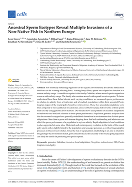 Ancestral Sperm Ecotypes Reveal Multiple Invasions of a Non-Native Fish in Northern Europe