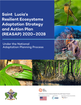Resilient Ecosystems Adaptation Strategy and Action Plan (REASAP) 2020–2028