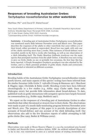 Responses of Brooding Australasian Grebes Tachybaptus Novaehollandiae to Other Waterbirds