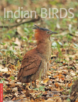 Indian Peafowl Masked Finfoot Hunting in Arunachal Pradesh