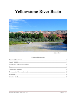 Yellowstone River Basin