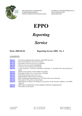 Reporting Service 2005, No