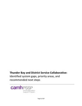 Thunder Bay and District Service Collaborative: Identified System Gaps, Priority Areas, and Recommended Next Steps