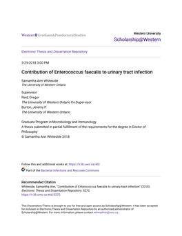 Contribution of Enterococcus Faecalis to Urinary Tract Infection