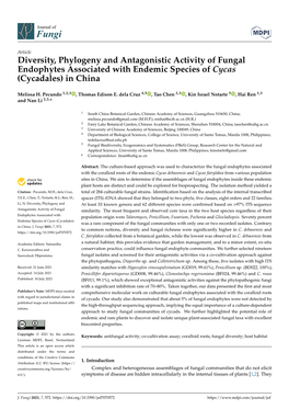 Diversity, Phylogeny and Antagonistic Activity of Fungal Endophytes Associated with Endemic Species of Cycas (Cycadales) in China