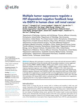 Multiple Tumor Suppressors Regulate a HIF-Dependent Negative Feedback