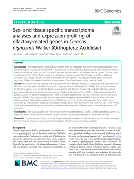 Sex- and Tissue-Specific Transcriptome Analyses and Expression Profiling