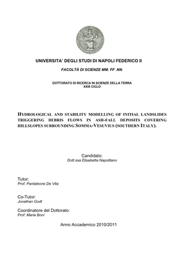 Hydrological and Stability Modelling of Initial Landslides Triggering Debris