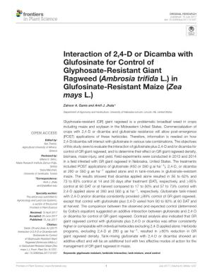 Interaction of 2,4-D Or Dicamba with Glufosinate for Control of Glyphosate-Resistant Giant Ragweed (Ambrosia Triﬁda L.) in Glufosinate-Resistant Maize (Zea Mays L.)