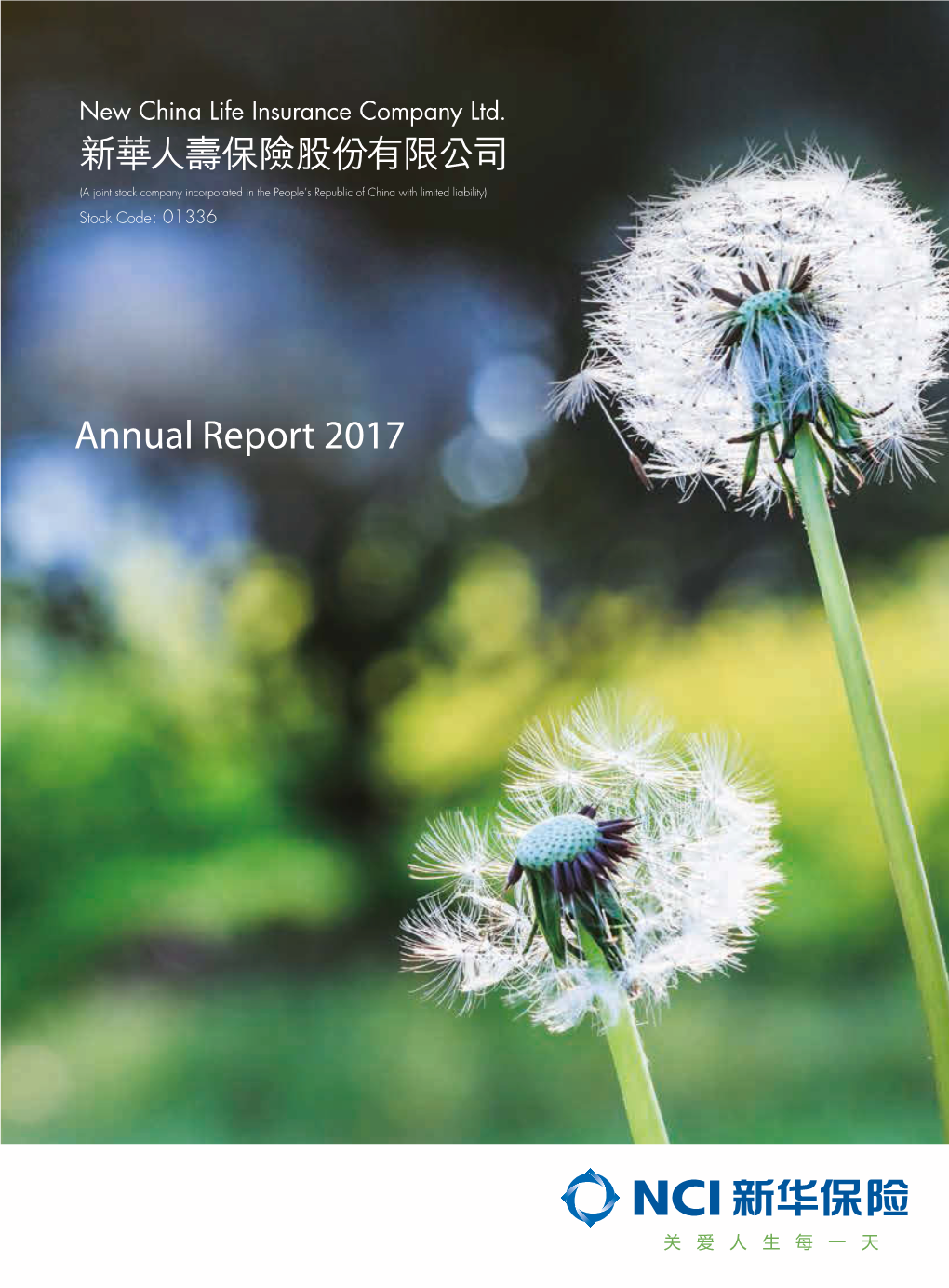 Annual Report 2017