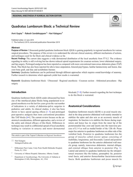 Quadratus Lumborum Block: a Technical Review