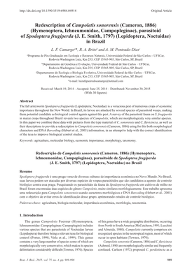 Redescription of Campoletis Sonorensis (Cameron, 1886) (Hymenoptera, Ichneumonidae, Campopleginae), Parasitoid of Spodoptera Frugiperda (J