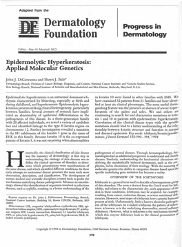 Epidermolytic Hyperkeratosis: Applied Molecular Genetics