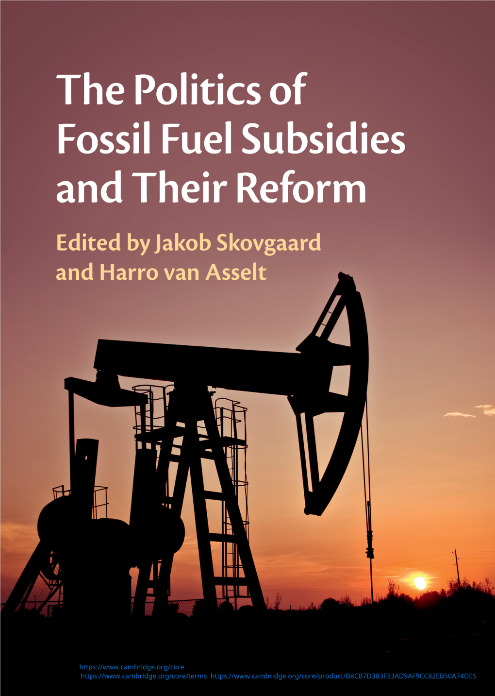 The Politics of Fossil Fuel Subsidies and Their Reform