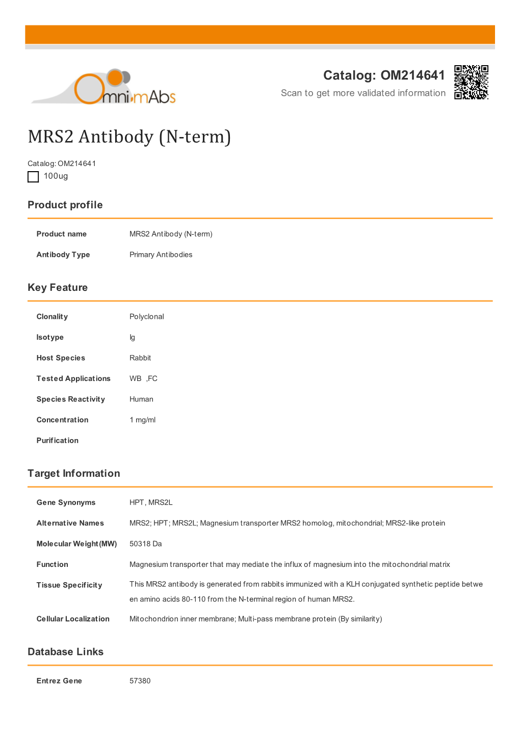 MRS2 Antibody (N-Term)