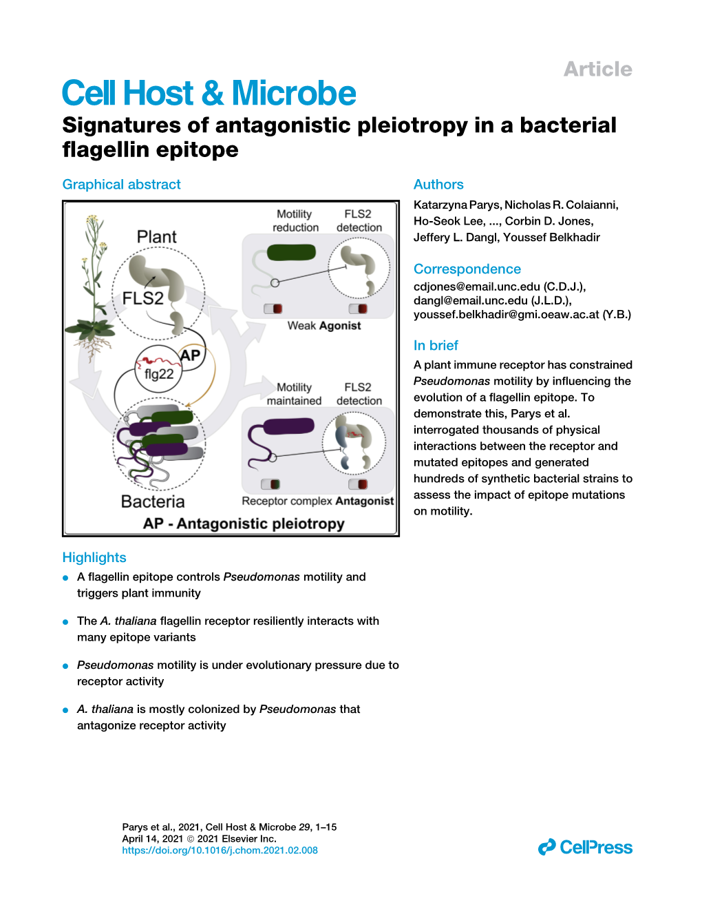 Signatures of Antagonistic Pleiotropy in a Bacterial Flagellin Epitope