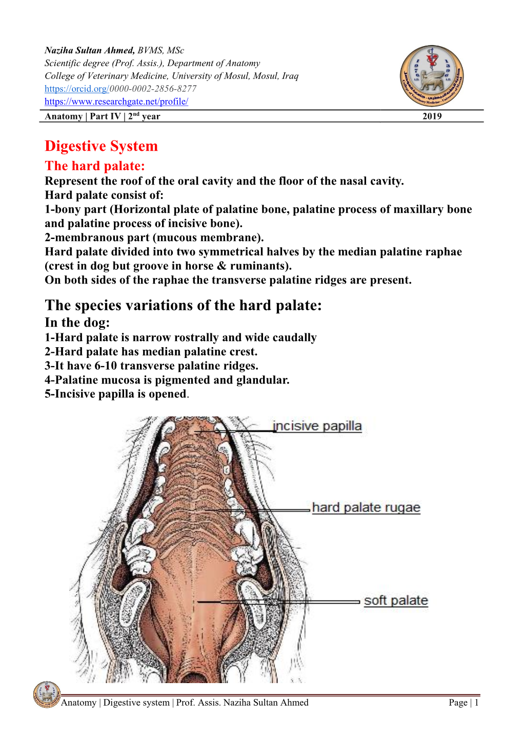 Digestive System the Species Variations of the Hard Palate