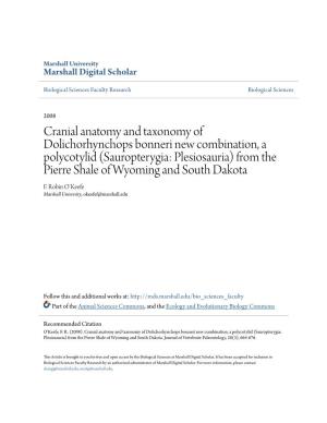 Cranial Anatomy and Taxonomy of Dolichorhynchops Bonneri New