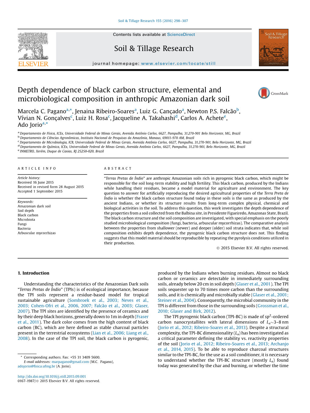 Depth Dependence of Black Carbon Structure, Elemental And