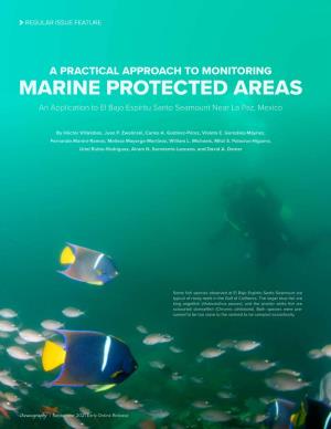 MARINE PROTECTED AREAS an Application to El Bajo Espíritu Santo Seamount Near La Paz, Mexico