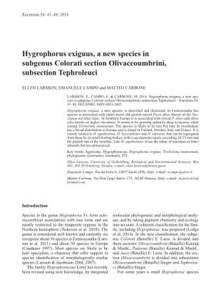 Hygrophorus Exiguus, a New Species in Subgenus Colorati Section Olivaceoumbrini, Subsection Tephroleuci