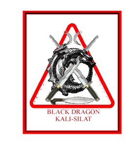 Black Dragon Kali-Silat Trainig Outline