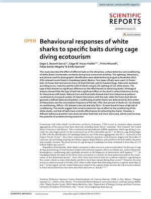 Behavioural Responses of White Sharks to Specific Baits During Cage