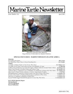 MARINE TURTLES in ATLANTIC AFRICA Editorials: Proceeding to the Future