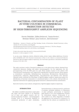 Bacterial Contamination of Plant in Vitro Cultures in Commercial Production Detected by High‑Throughput Amplicon Sequencing