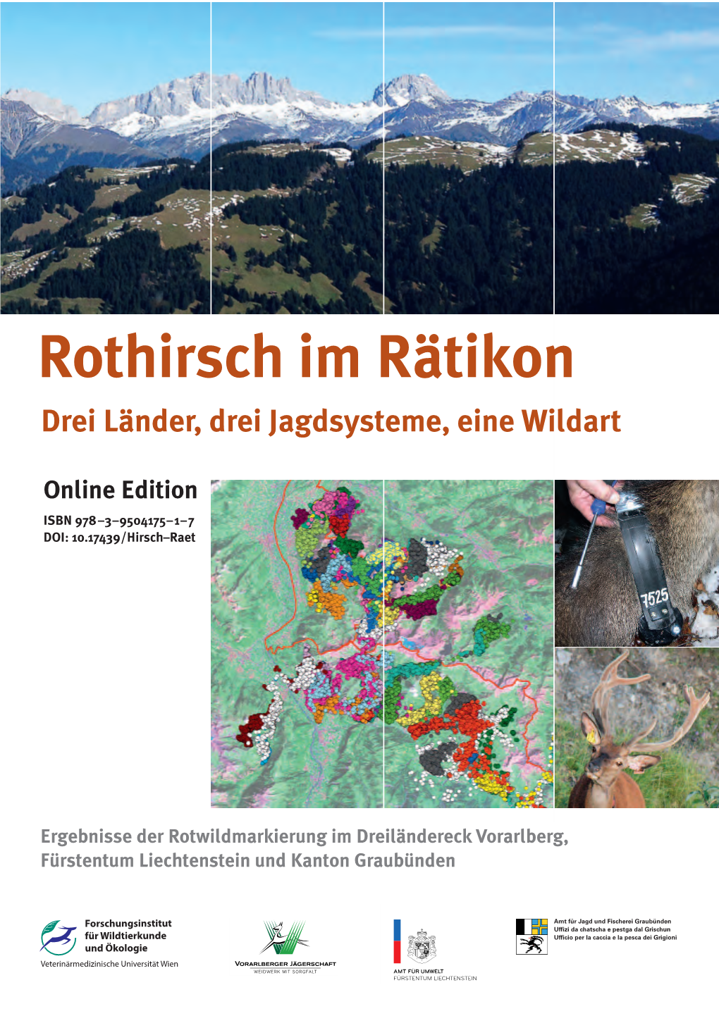 Rothirsch Im Rätikon Drei Länder, Drei Jagdsysteme, Eine Wildart