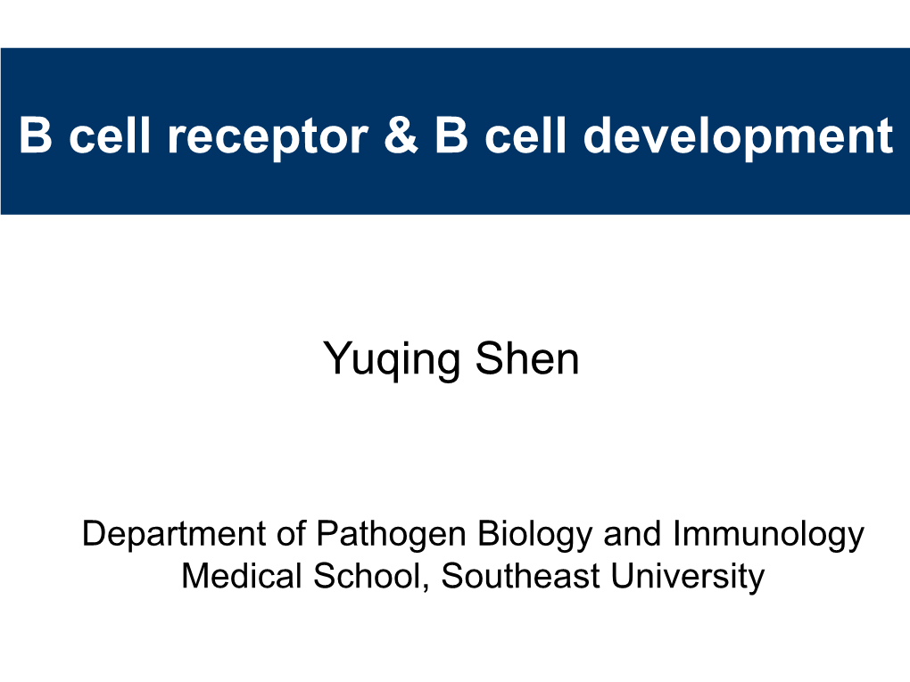 B Cell Receptor & B Cell Development