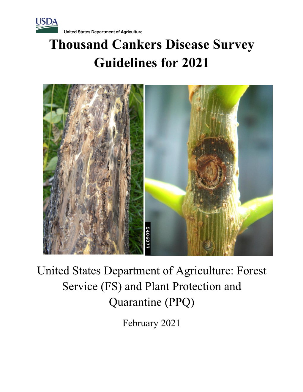 Thousand Cankers Disease Survey Guidelines for 2021