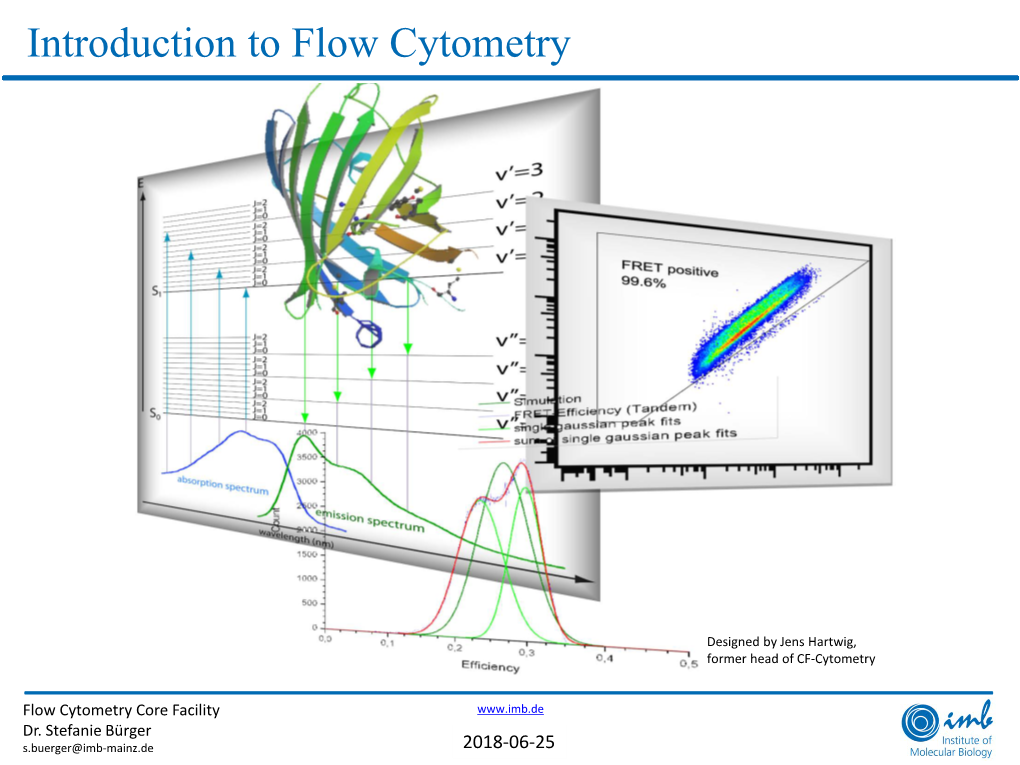 What Is Flow Cytometry