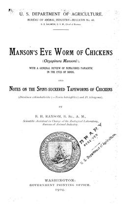 MANSON's EYE WORM of CHICKENS {Oxyspirura Mansoni)