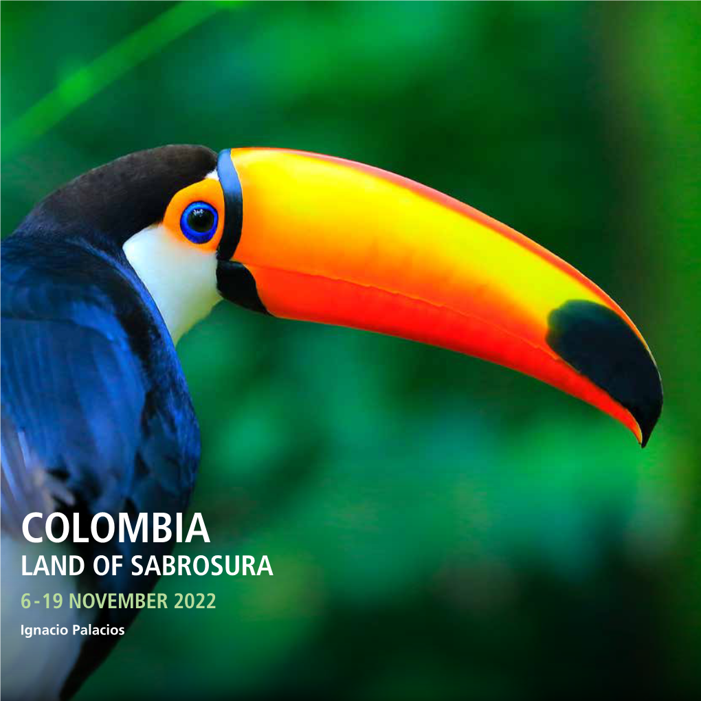 COLOMBIA LAND of SABROSURA 6 - 19 NOVEMBER 2022 Ignacio Palacios