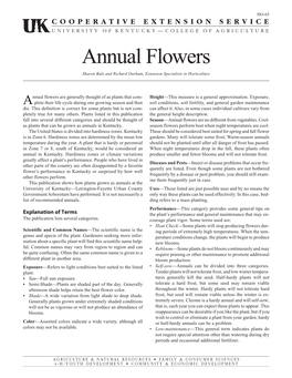 Annual Flowers HO-65