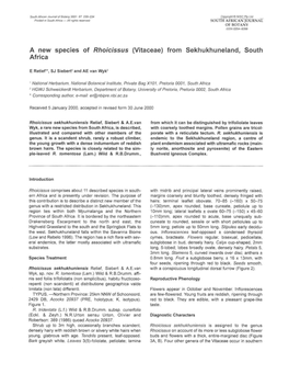 A New Species of Rhoicissus (Vitaceae) from Sekhukhuneland, South Africa