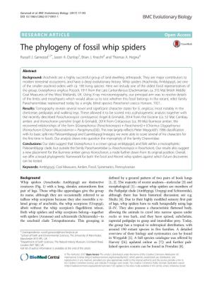 The Phylogeny of Fossil Whip Spiders Russell J