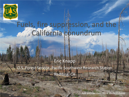 Fuels, Fire Suppression, and the California Conundrum